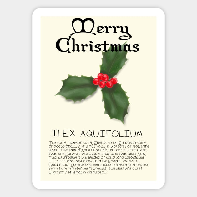 Holly Genus Christmas Card Sticker by DesignsBySaxton